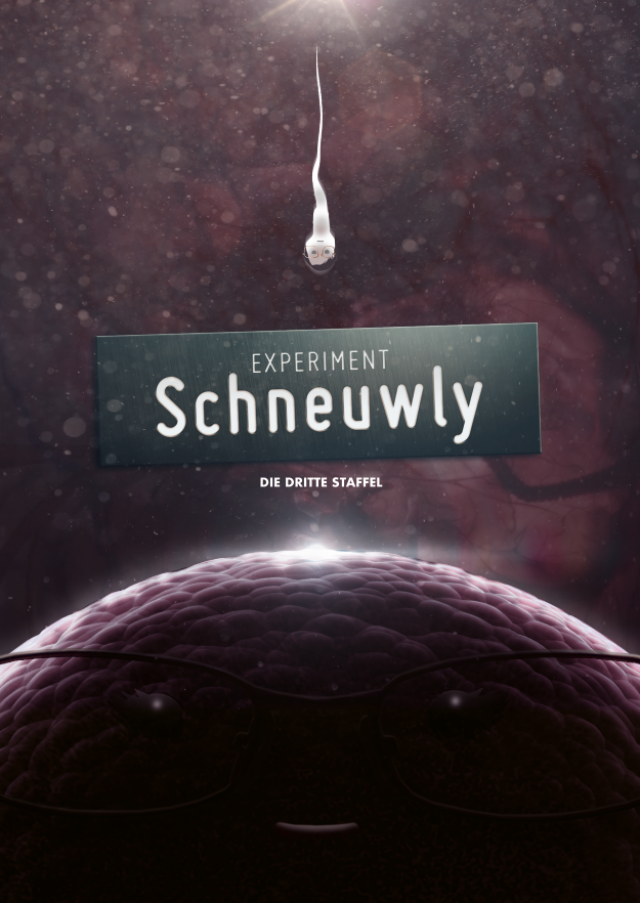 Experiment Schneuwly 3. Staffel