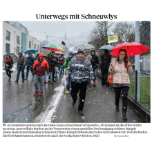 Experiment Schneuwly – Berner Zeitung vom 21.12.2018