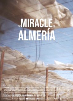 The Miracle of Almería