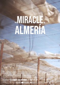 The Miracle of Almería