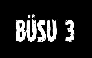 NMBE Jahresbericht 2016