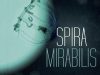 Spira Mirabilis