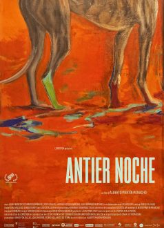 Antier Noche (Nights gone by)