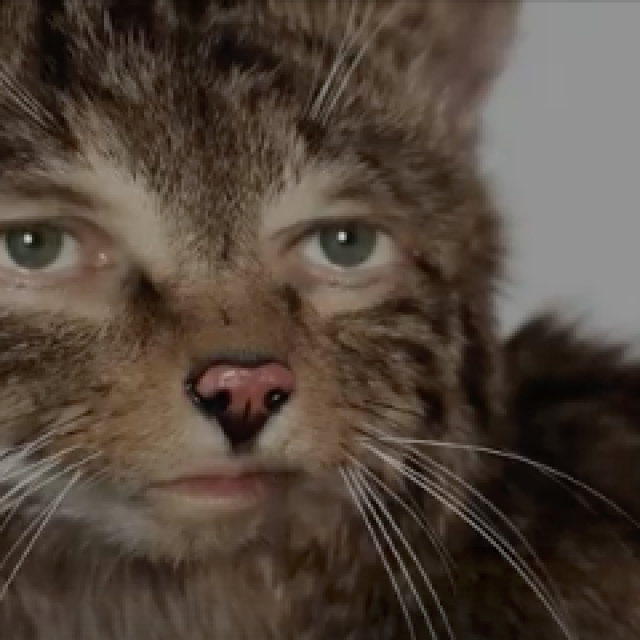 Büsu ist für den EDI nominiert