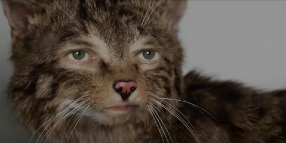 Büsu ist für den EDI nominiert