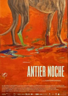 Antier Noche